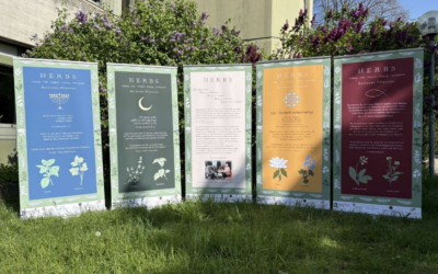 Heilkräuter in den Religionen