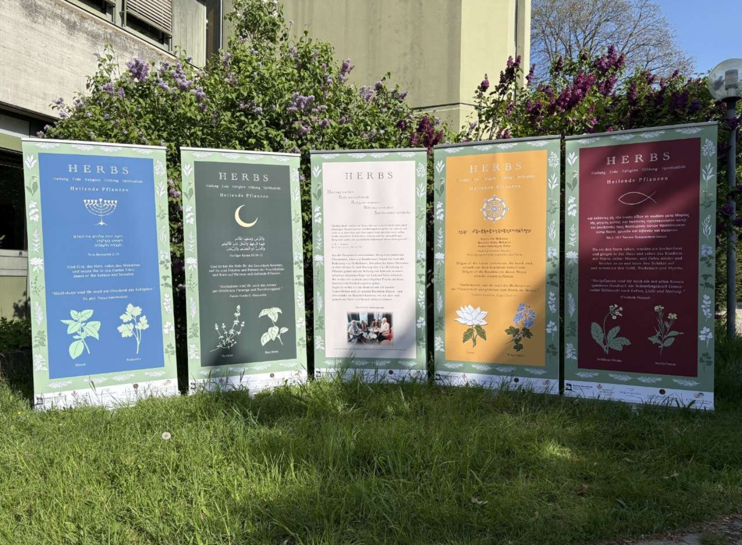 Heilkräuter in den Religionen | Religions for Peace Deutschland